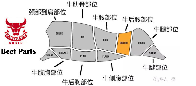 Beef Parts