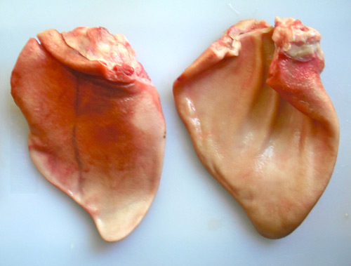 PIG EAR