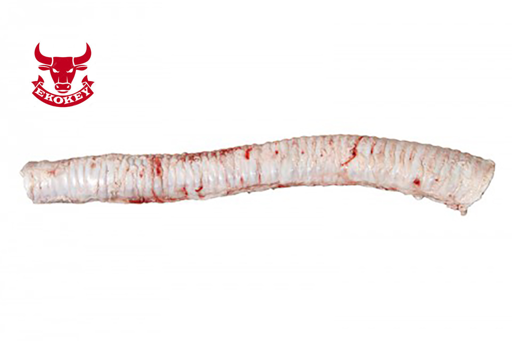 BEEF TRACHEA