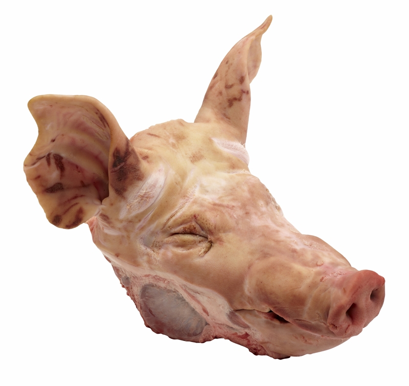 PORK HEAD