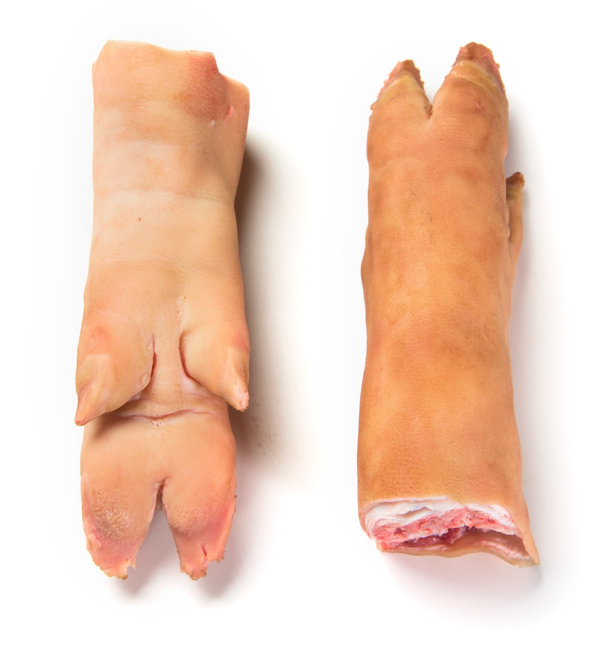 PIG FEET