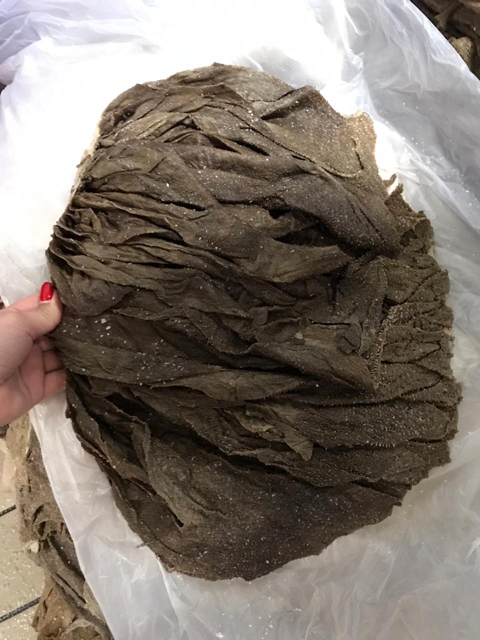 5 X 40 FCL 130 MT SALTED BEEF OMASUM EXPORT TO H.K BY CMA CGM