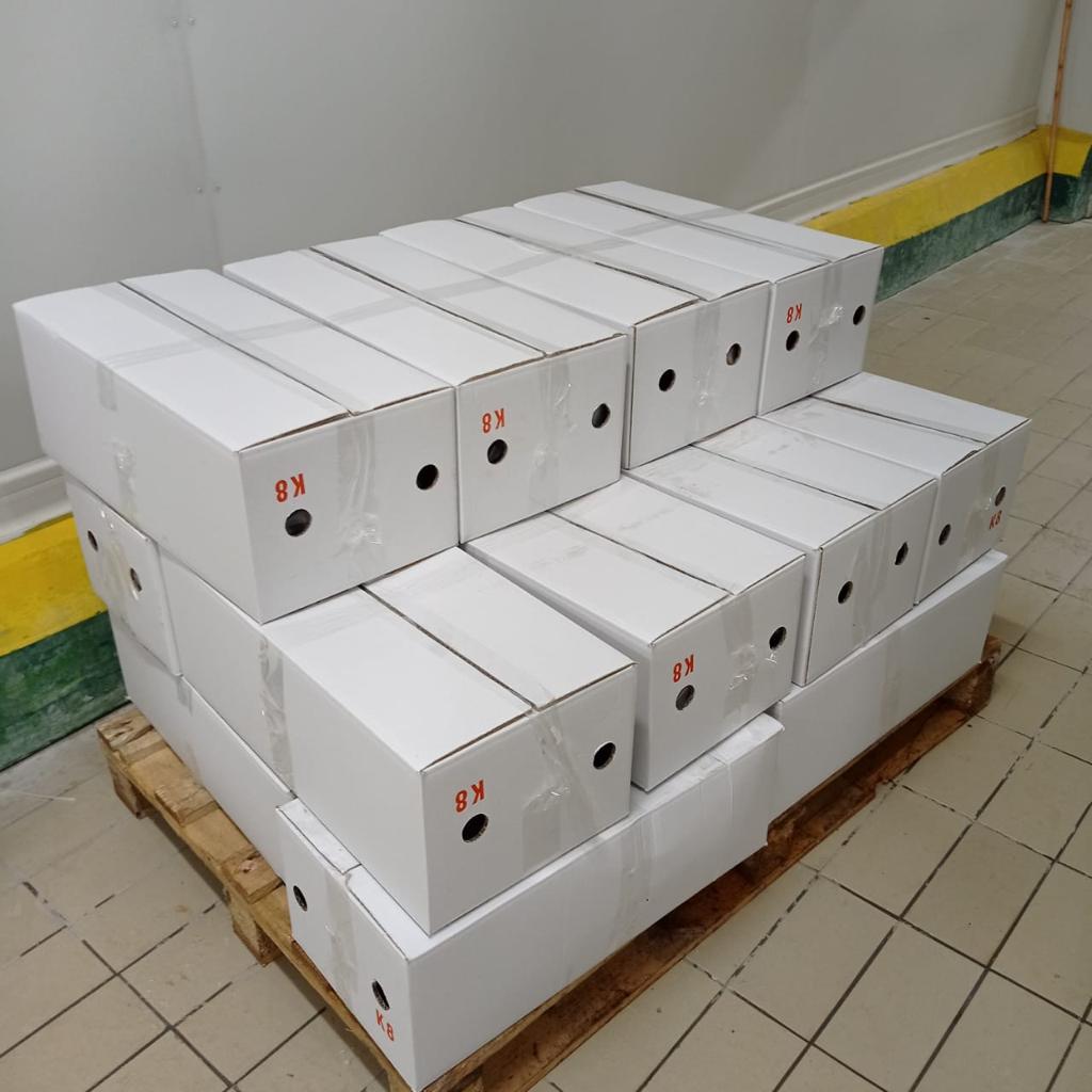 10 MT SALTED BEEF OMASUM EXPORT TO THY AIR CARGO